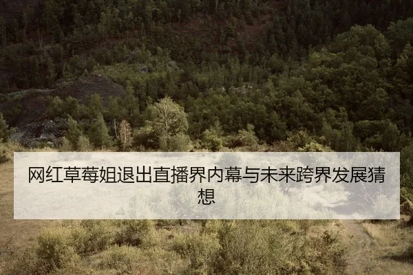 wang-hong-cao-mei-jie-tui-chu-zhi-bo-jie-nei-mu-yu-wei-lai-kua-jie-fa-zhan-cai-xiang-2-738.jpg